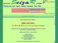 seizar.com