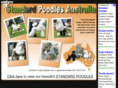 standardpoodlesaustralia.com