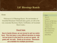 lilblessingsranch.com