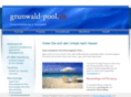 grunwald-pool.de
