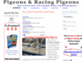 pigeonsracingpigeons.net