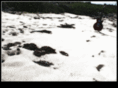 sand-trax.com
