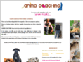 animo-coaching.com