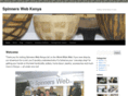 spinnerswebkenya.com