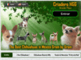 chihuahuashgg.com