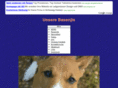 the-basenji.info