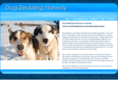 dogsledding-norway.com