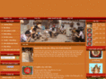 dongdiepnhung.com