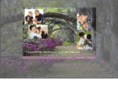 charlestonparentingsupportgroups.com