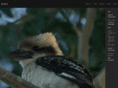 janvandenbos.com