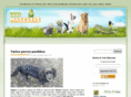 todo-mascotas.com