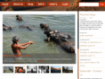 the508perspective.com