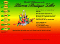 blumen-ziller.net