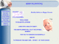 babyplan.net