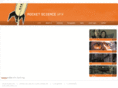 rsvfx.com