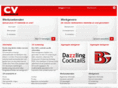 cv-overzicht.com