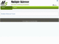 ms-forum.info