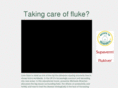takingcareoffluke.com