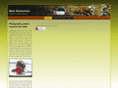 blickstrom.com