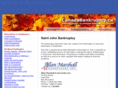 saintjohnbankruptcy.com