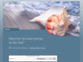 discover.net