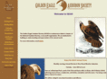 goldeneagleaudubon.org
