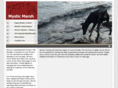 mysticmarshfarm.com