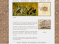guidingstarltd.com