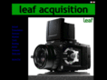 leafacquisition.com