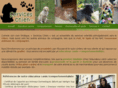services-chien.com
