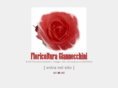 giannecchiniflor.com