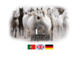 lusitano-selection.com
