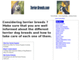 terrier-breeds.com