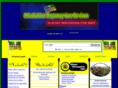 revolution-saglac.com