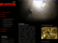 erserwis.com