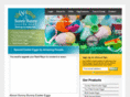sunnybunnyeastereggs.com