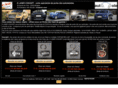 elaserconcept.com