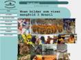 madebrasil.com