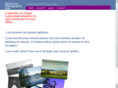 tomburnettgallery.com