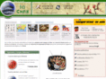 ici-chine.com