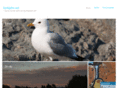 kyrkjebo.net