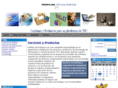 perfilestecnologicos.com