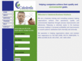 caledoniabusinesssolutions.com