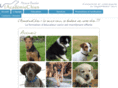 lacademiechien.com
