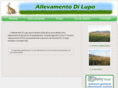 allevamentodilupo.com