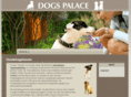 hundetragetasche.org