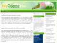keyodeme.com
