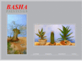 bashamuller.com
