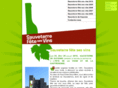 sauveterre-fete-ses-vins.com