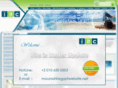 arabic-erp.com